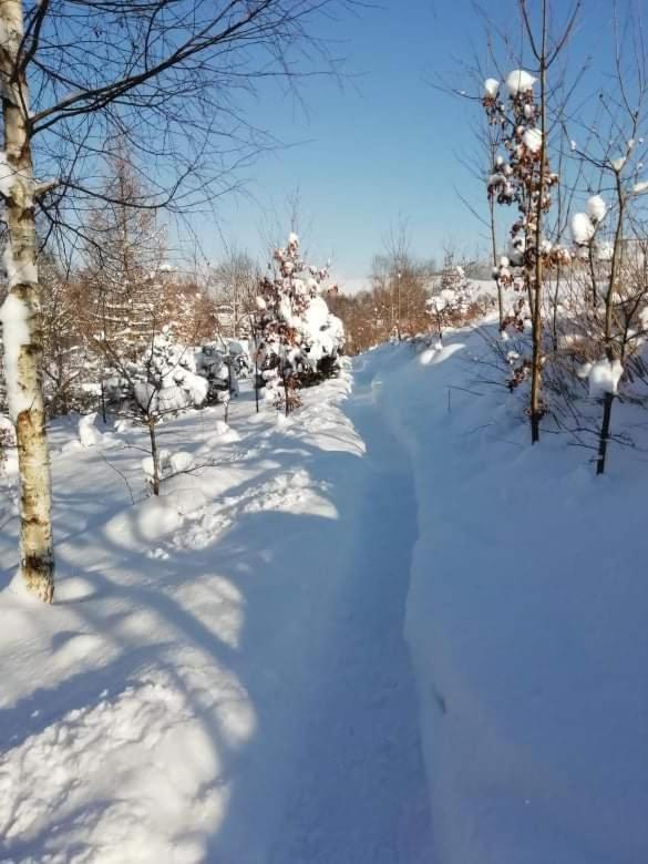 Aparthotel Stará Škola Hedeč Králíky Exterior foto