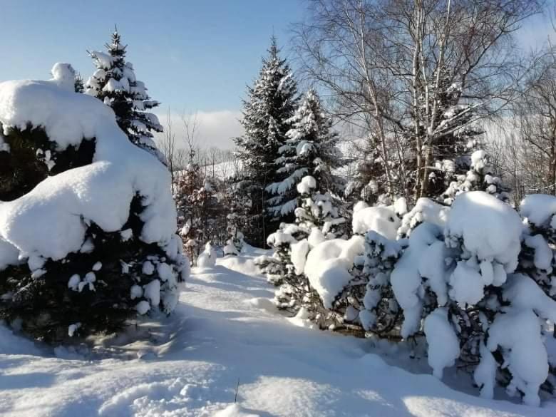 Aparthotel Stará Škola Hedeč Králíky Exterior foto